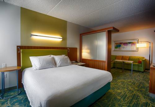 Imagen de la habitación del Hotel Springhill Suites Ewing Township Princeton South. Foto 7