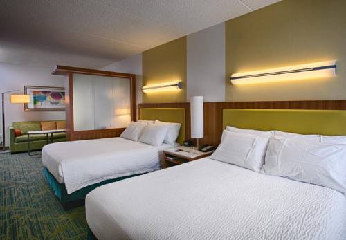 Imagen de la habitación del Hotel Springhill Suites Ewing Township Princeton South. Foto 8