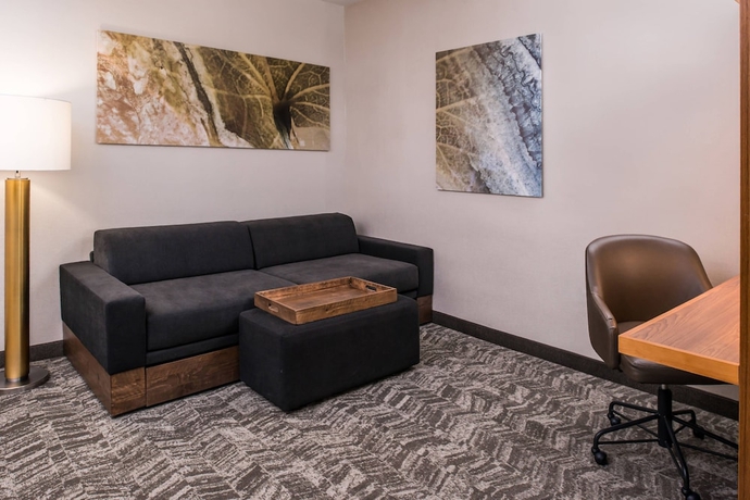Imagen de la habitación del Hotel Springhill Suites Huntsville Downtown. Foto 2