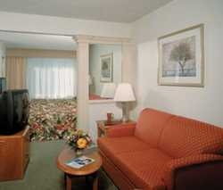 Imagen de la habitación del Hotel Springhill Suites International Drive. Foto 2