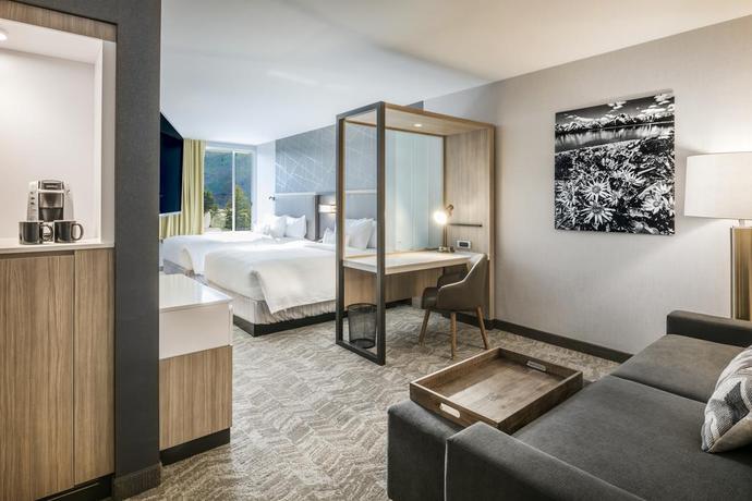 Imagen de la habitación del Hotel Springhill Suites Jackson Hole. Foto 8