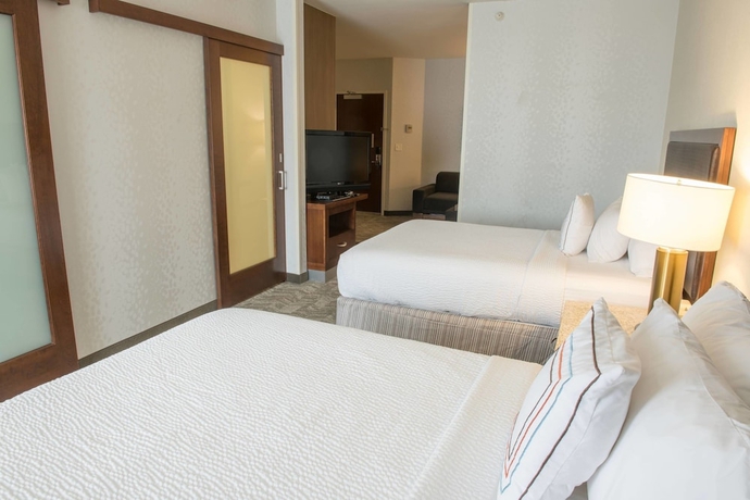 Imagen de la habitación del Hotel Springhill Suites Logan. Foto 8