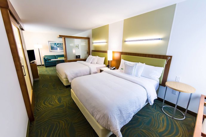 Imagen de la habitación del Hotel Springhill Suites Lumberton. Foto 4