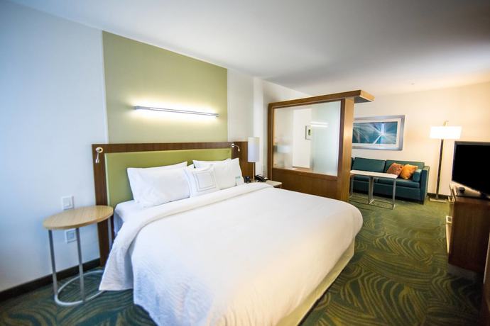 Imagen de la habitación del Hotel Springhill Suites Lumberton. Foto 6