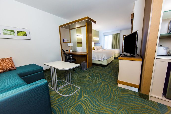 Imagen de la habitación del Hotel Springhill Suites Lumberton. Foto 9