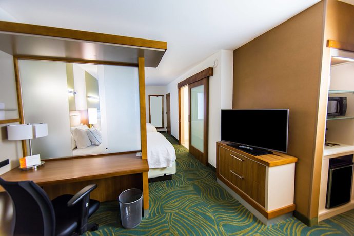 Imagen de la habitación del Hotel Springhill Suites Lumberton. Foto 10