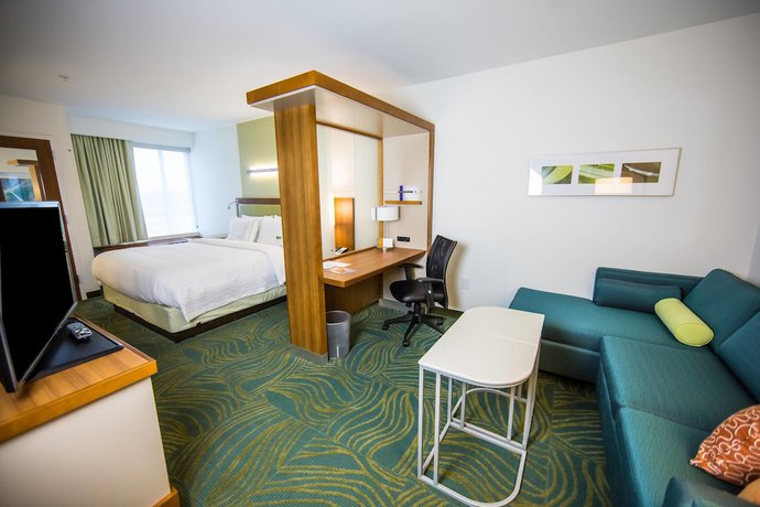 Imagen de la habitación del Hotel Springhill Suites Lumberton. Foto 12