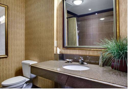 Imagen de la habitación del Hotel Springhill Suites Memphis Downtown. Foto 3