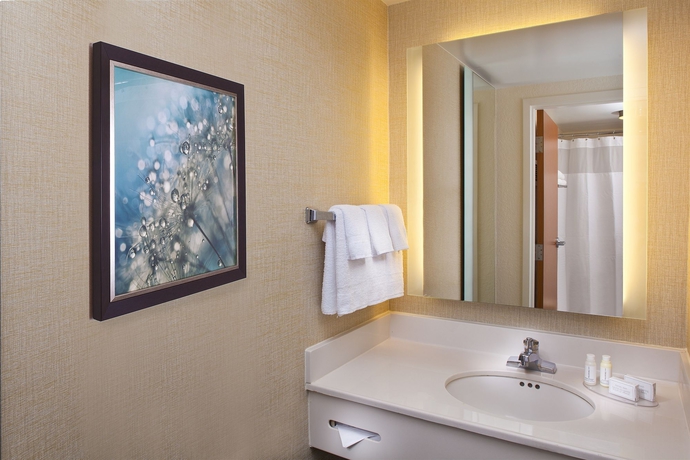 Imagen de la habitación del Hotel Springhill Suites Orlando Lake Buena Vista Marriott Village. Foto 6