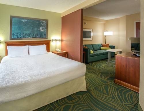 Imagen de la habitación del Hotel Springhill Suites Orlando North/sanford. Foto 8