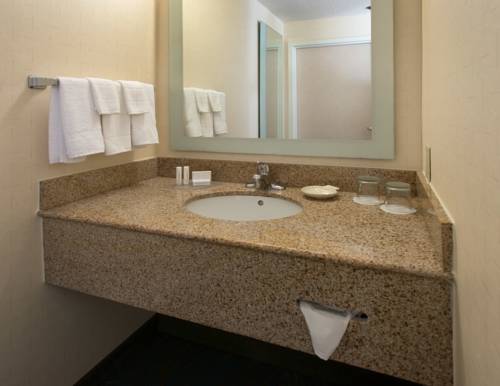 Imagen de la habitación del Hotel Springhill Suites Orlando North/sanford. Foto 12