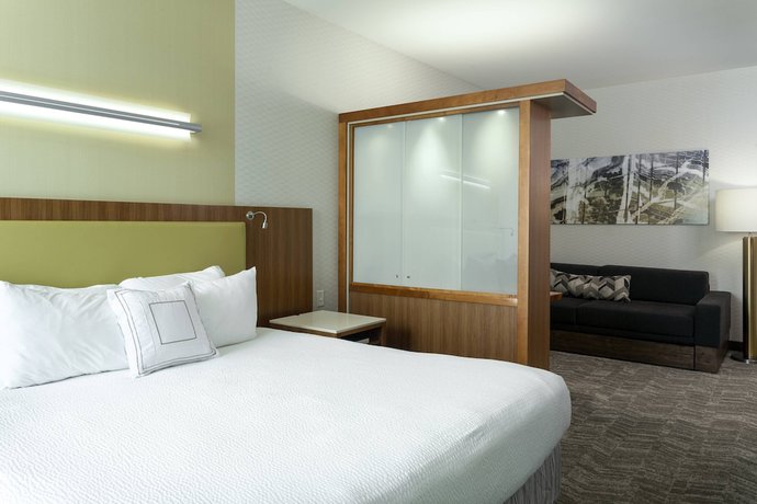 Imagen de la habitación del Hotel Springhill Suites Philadelphia Airport Ridley Park. Foto 2