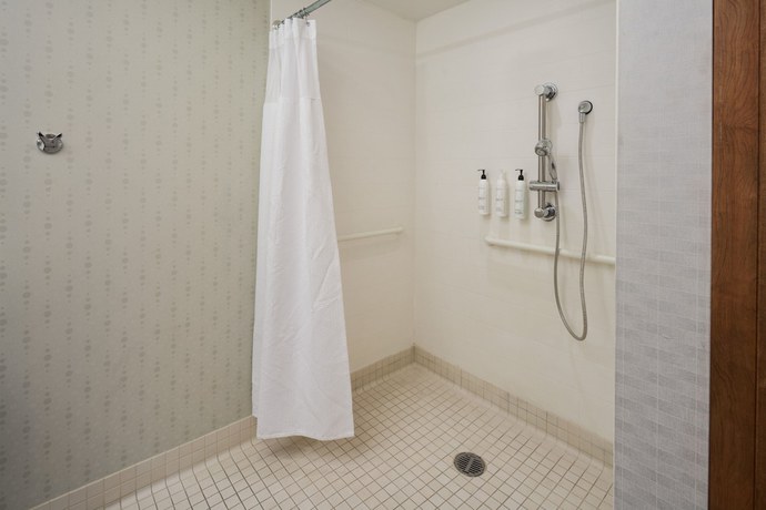 Imagen de la habitación del Hotel Springhill Suites Philadelphia Airport Ridley Park. Foto 6