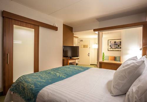 Imagen de la habitación del Hotel Springhill Suites Philadelphia Valley Forge/king Of Prussia. Foto 4