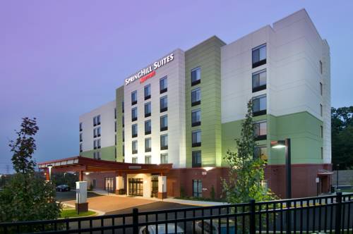 Imagen de la habitación del Hotel Springhill Suites Potomac Mills Woodbridge. Foto 2