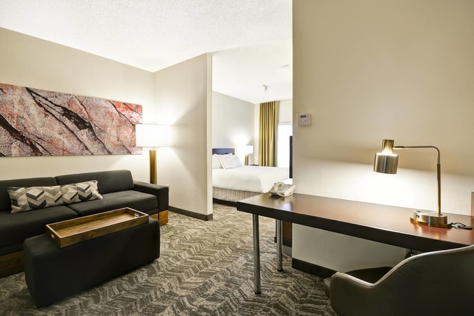 Imagen de la habitación del Hotel Springhill Suites San Antonio Medical Center/north. Foto 10