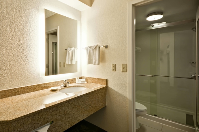 Imagen de la habitación del Hotel Springhill Suites San Antonio Medical Center/north. Foto 15