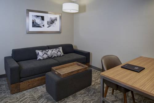 Imagen de la habitación del Hotel Springhill Suites St. Louis Brentwood. Foto 6