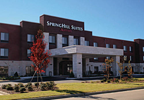 Imagen general del Hotel Springhill Suites Statesboro University Area. Foto 1