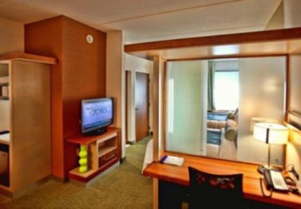 Imagen de la habitación del Hotel Springhill Suites Tampa North. Foto 6