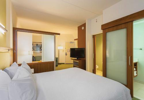 Imagen de la habitación del Hotel Springhill Suites Tampa North. Foto 7