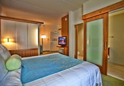 Imagen de la habitación del Hotel Springhill Suites Tampa North. Foto 8