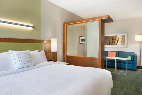 Imagen de la habitación del Hotel Springhill Suites Tuscaloosa By Marriott. Foto 1