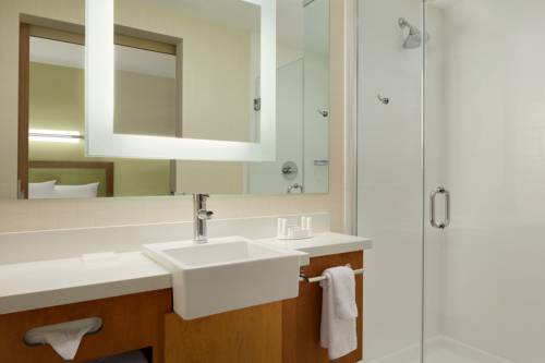 Imagen de la habitación del Hotel Springhill Suites Tuscaloosa By Marriott. Foto 2