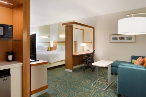 Imagen de la habitación del Hotel Springhill Suites Tuscaloosa By Marriott. Foto 3