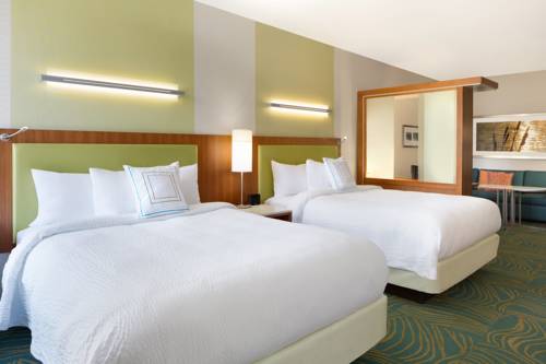 Imagen de la habitación del Hotel Springhill Suites Tuscaloosa By Marriott. Foto 4
