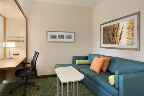 Imagen de la habitación del Hotel Springhill Suites Tuscaloosa By Marriott. Foto 5
