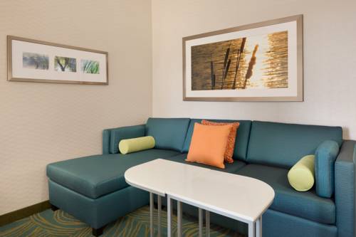 Imagen de la habitación del Hotel Springhill Suites Tuscaloosa By Marriott. Foto 6