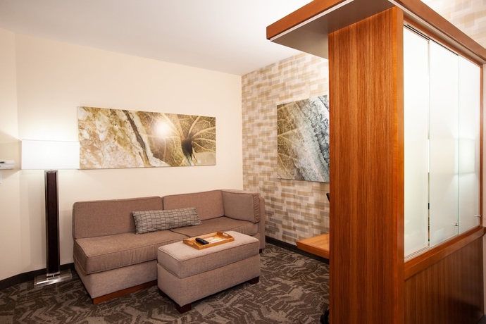 Imagen de la habitación del Hotel Springhill Suites Wenatchee. Foto 18
