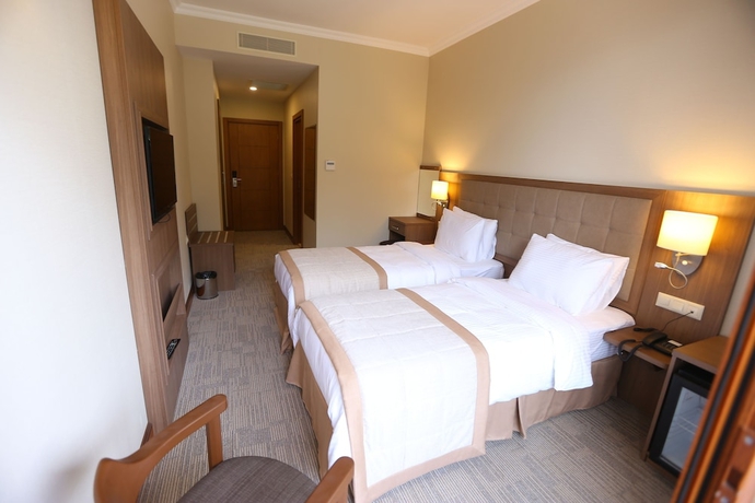 Imagen de la habitación del Hotel Sputnik Batumi. Foto 3