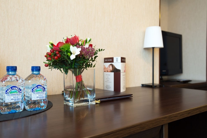 Imagen de la habitación del Hotel Sputnik, San Petersburgo. Foto 5