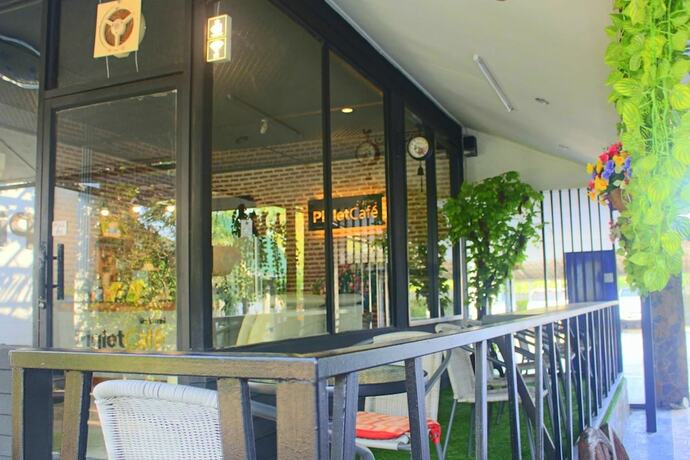 Imagen general del Hotel Squid Resort. Foto 2