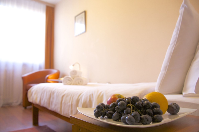 Imagen de la habitación del Hotel Srbija. Foto 3