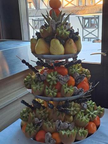 Imagen general del Hotel Srebrna lisica. Foto 7