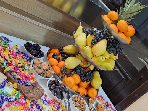 Imagen general del Hotel Srebrna lisica. Foto 13