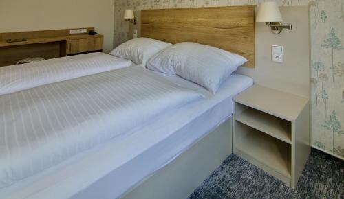 Imagen general del Hotel Srní depandance - Šumava. Foto 1