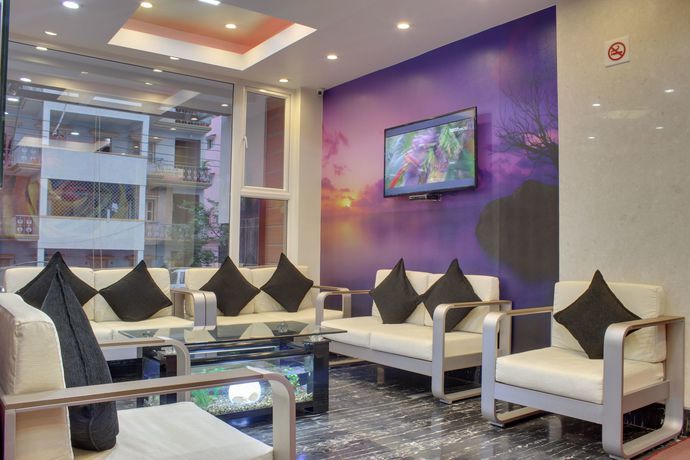 Imagen de los interiores del Hotel Srt Alpines. Foto 8