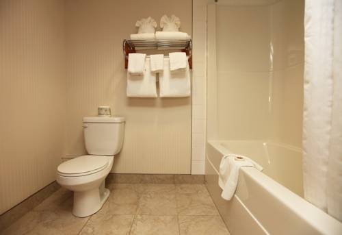 Imagen de la habitación del Hotel St. Albert Inn & Suites. Foto 16