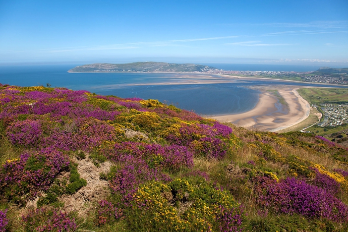 Imagen de los exteriores del Hotel St George's. Foto 13