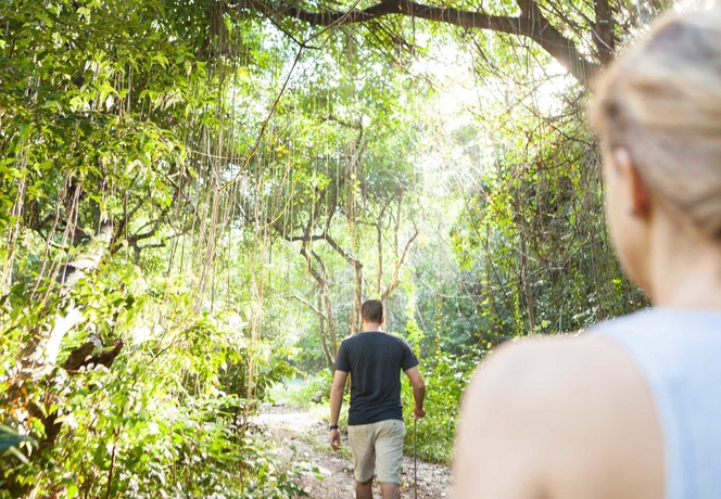 Imagen de la habitación del Hotel St. Kitts Marriott Resort And The Royal Beach Casino. Foto 6