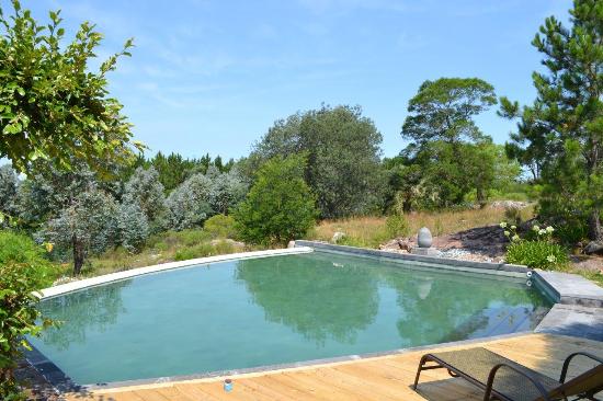 Imagen de la piscina del Hotel St Michel Wellness. Foto 8