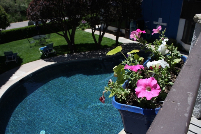 Imagen de la piscina del Hotel St. Moritz Lodge and Condominiums. Foto 15