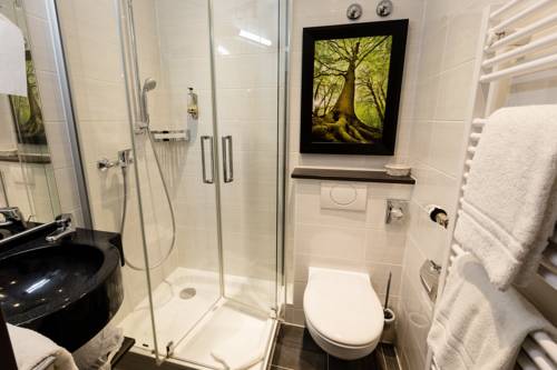 Imagen de la habitación del Hotel St. Pierre, Bad Breisig. Foto 8