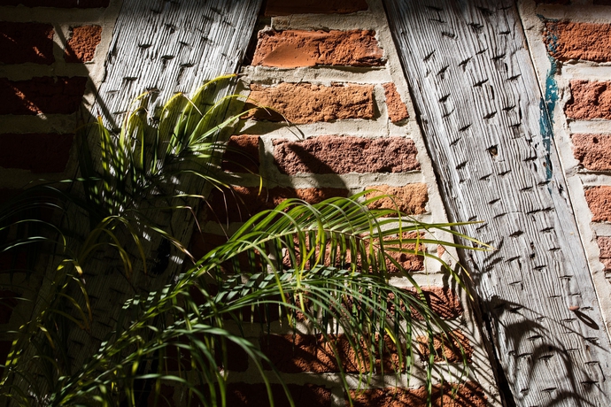 Imagen general del Hotel St. Pierre®, A French Quarter Inns®. Foto 6