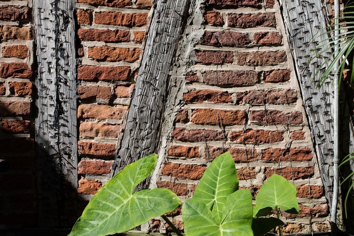 Imagen general del Hotel St. Pierre®, A French Quarter Inns®. Foto 10