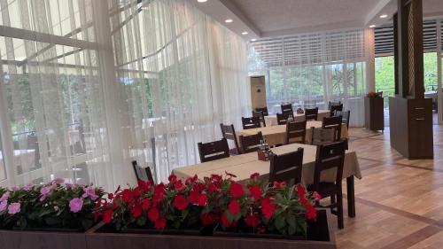 Imagen general del Hotel St. Sofia Beach. Foto 8